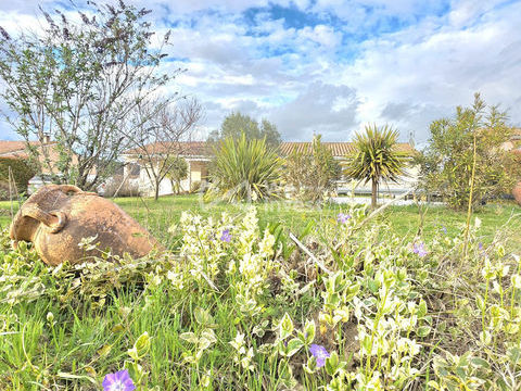   VENTE MAISON DE PLAIN PIED AVEC PISCINE ET MAGNIFIQUE VUE PYRENE Maison - 6 pi�ce(s) - 140 m�