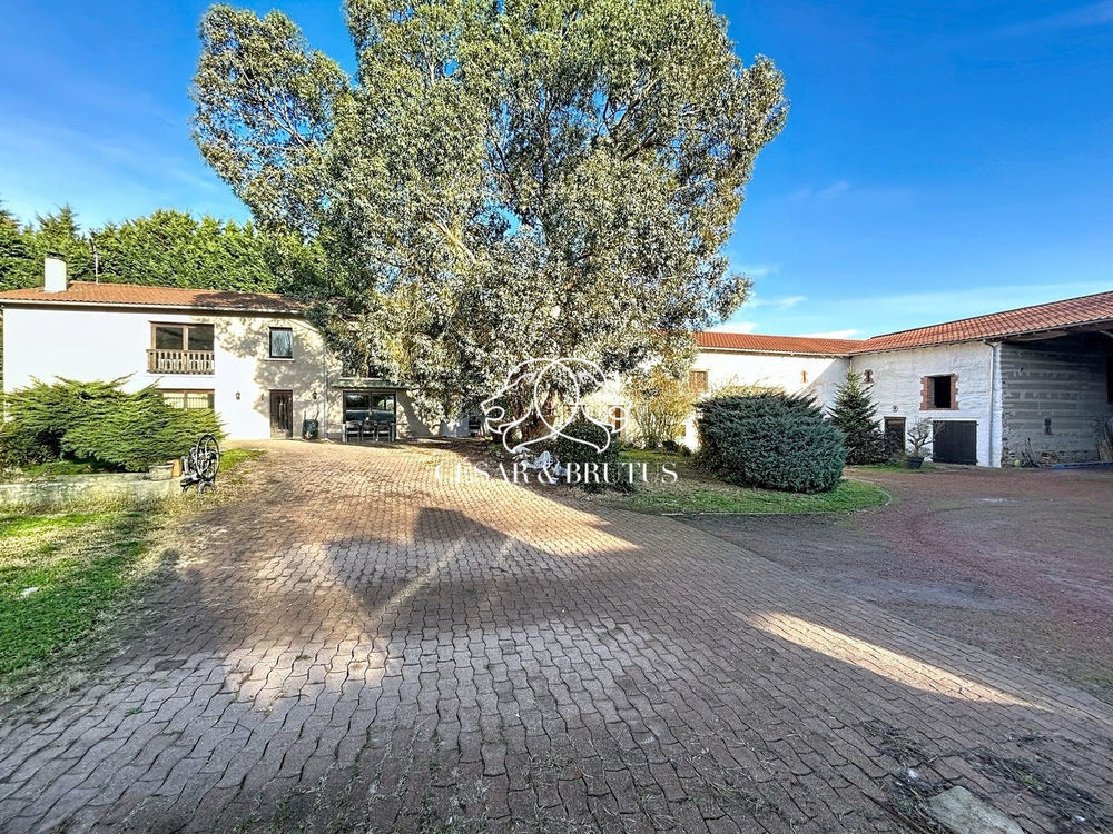 � vendre  Maison Nervieux (42510)