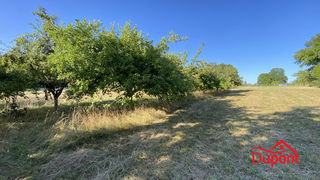  Terrain � vendre 10000 m�