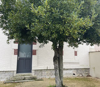  Appartement � vendre 3 pi�ces 79 m�