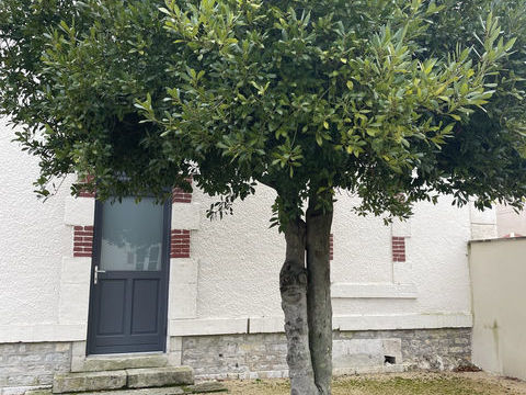  Appartement � vendre 3 pi�ces 79 m�