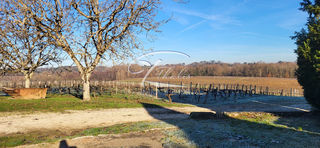  Maison � vendre 10 pi�ces 260 m�