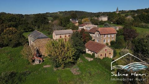   Superbe propri�t� compos�e de 3 habitations distinctes sur pr Maison - 15 + pi�ce(s) - 538 m�