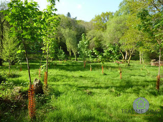  Terrain � vendre 7138 m�