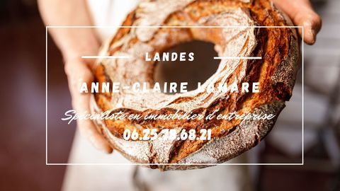 Fond de Boulangerie - Pâtisserie 733600 40200 Mimizan