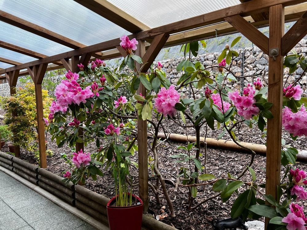 � vendre  Maison Pontarlier (25300)