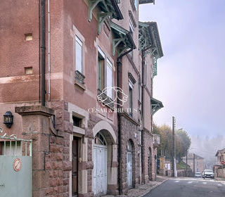  Maison � vendre 15 + pi�ces 384 m�