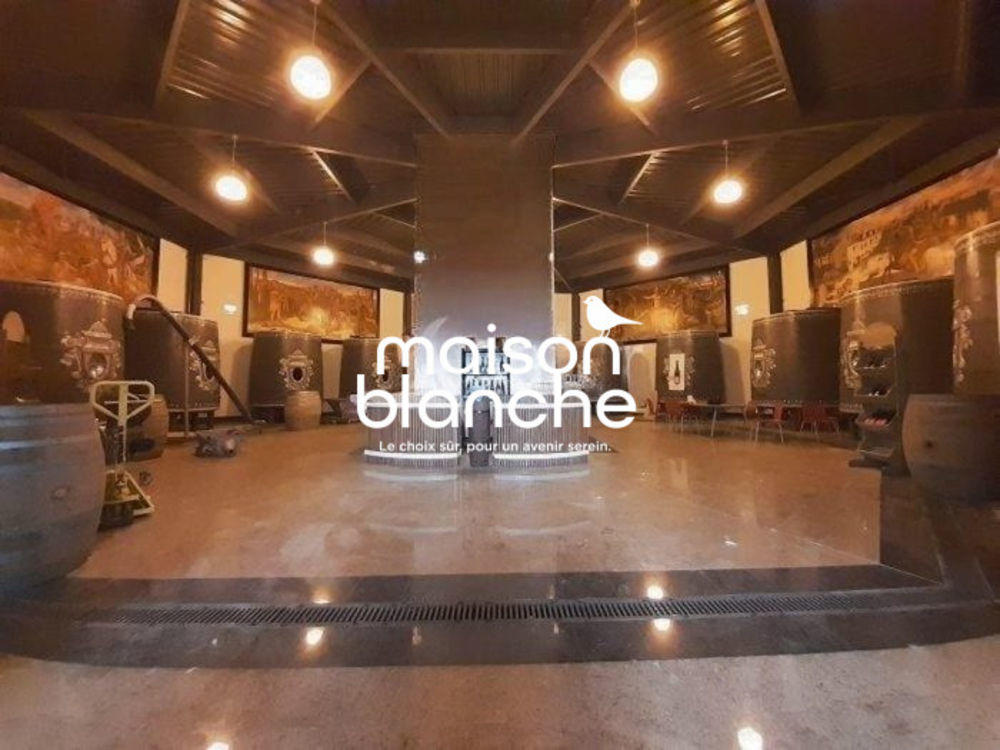 � vendre  Propri�t�/ch�teau Saumur (49400)