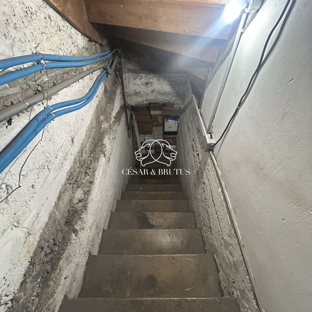 � vendre  Maison Villeurbanne (69100)