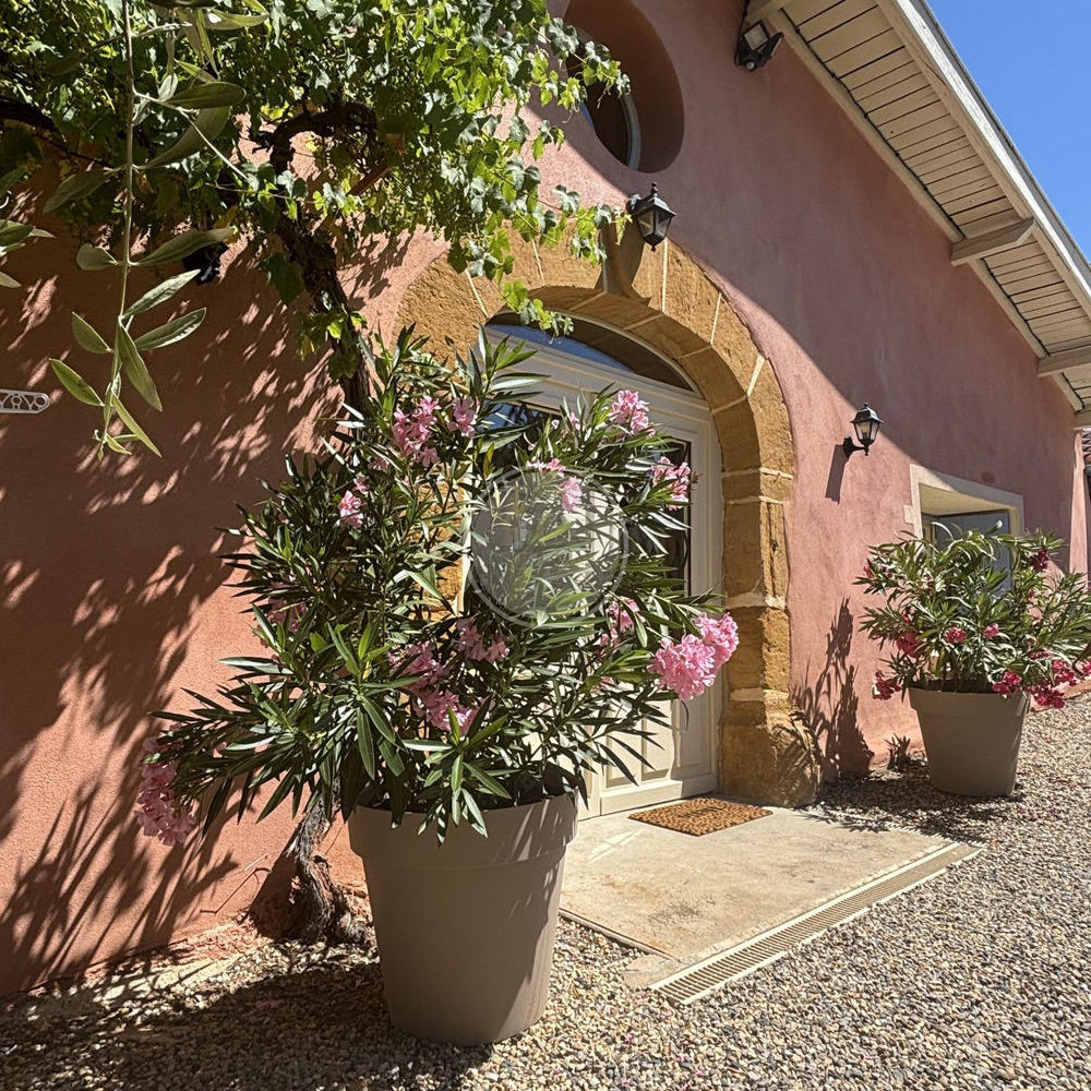 � vendre  Maison Sain-Bel (69210)