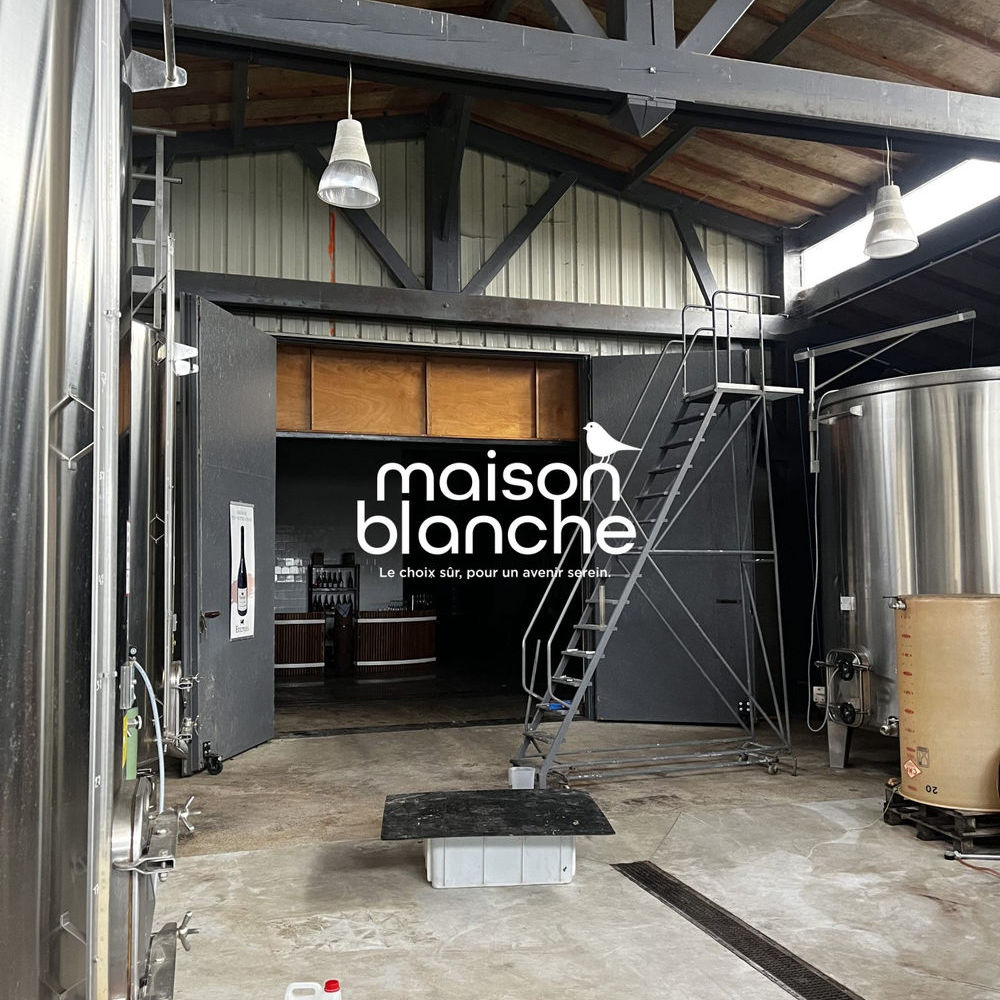 � vendre  Propri�t�/ch�teau Saumur (49400)