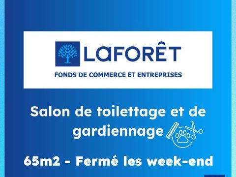 &Agrave; VENDRE Fonds de commerce Salon de Toilettage 42000 33000 Bordeaux