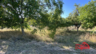  Terrain � vendre 10000 m�