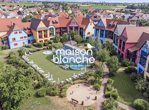   INVESTISSEMENT LMNP - Eguisheim (68) Appartement - 1 pi�ce(s) - 31 m�