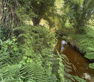  Terrain � vendre 1041 m�