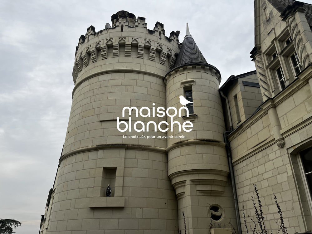 � vendre  Propri�t�/ch�teau Saumur (49400)