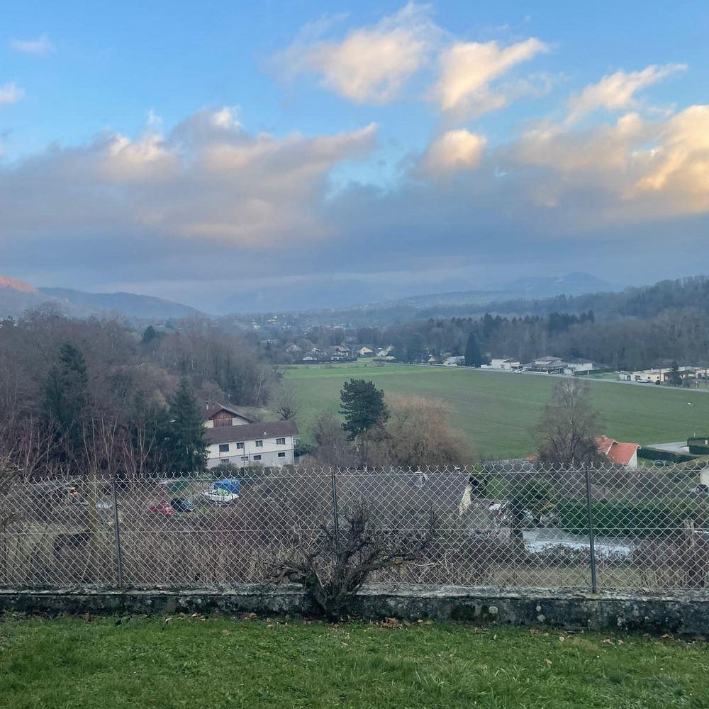 � vendre  Maison Cranves-Sales (74380)