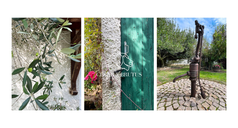 � vendre  Maison Montluel (01120)