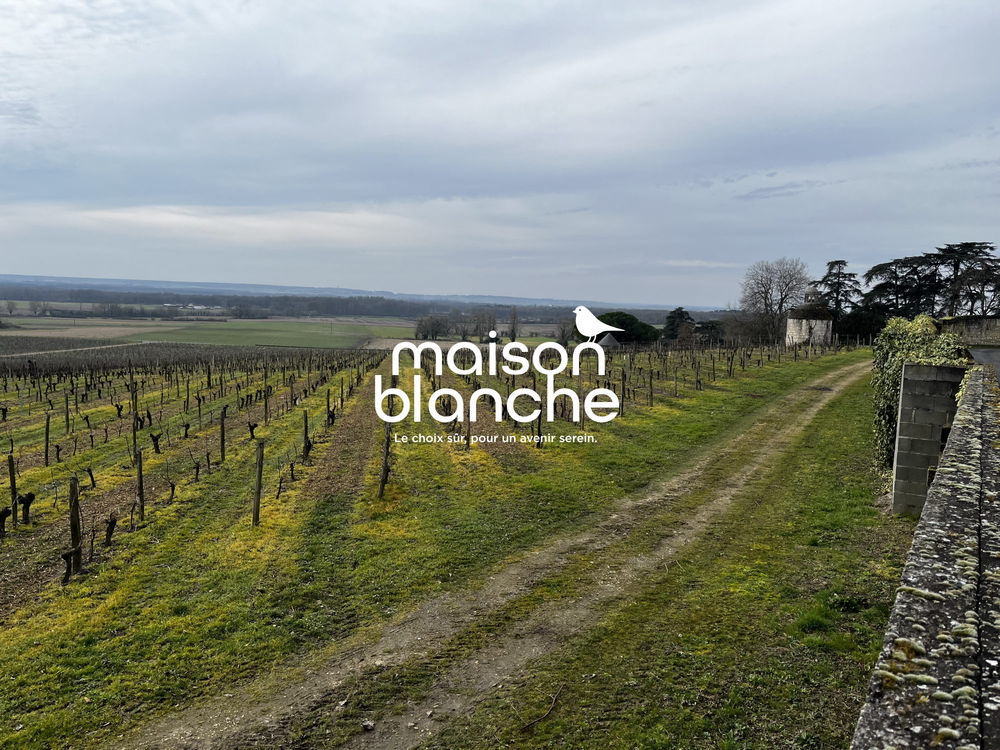 � vendre  Propri�t�/ch�teau Saumur (49400)