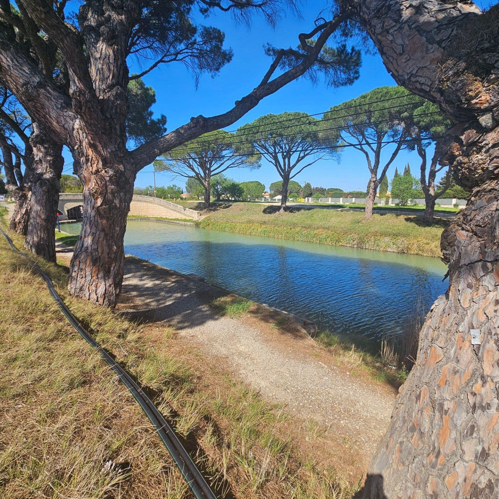 � vendre  Maison Sall�les-d'Aude (11590)