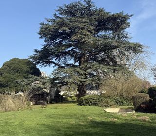  Maison � vendre 11 pi�ces 260 m�