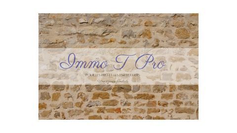 MAGNIFIQUE MURS ET FONDS 93 1300000 93160 Noisy-le-grand