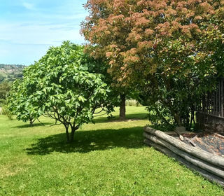  Maison � vendre 4 pi�ces 106 m�