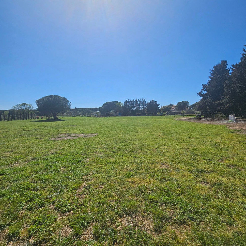 � vendre  Maison Sall�les-d'Aude (11590)