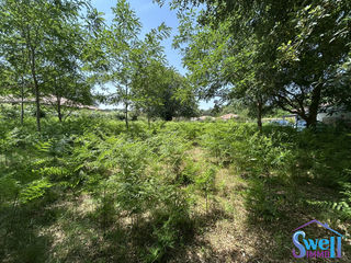  Terrain � vendre 800 m�