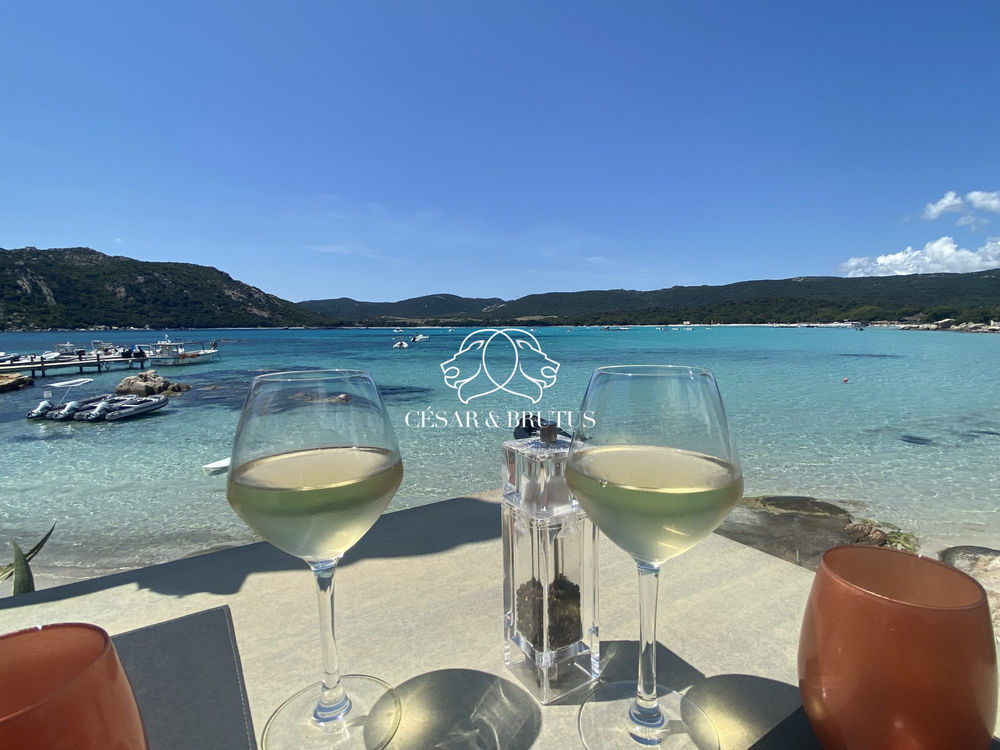 � vendre  Maison Bonifacio (20169)