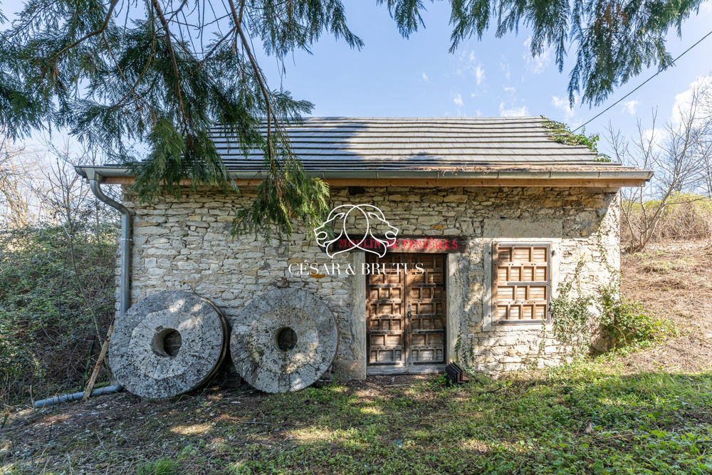 � vendre  Maison Trept (38460)