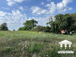  Terrain � vendre 774 m�