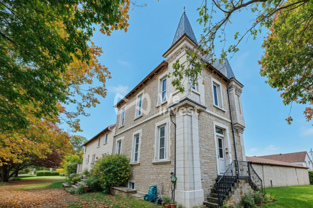 � vendre  Propri�t�/ch�teau Faye-la-Vineuse (37120)