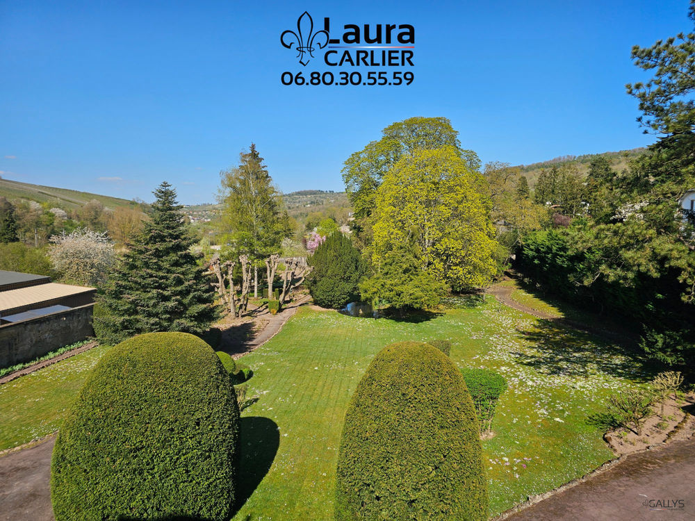 � vendre  Propri�t�/ch�teau Sierck-les-Bains (57480)