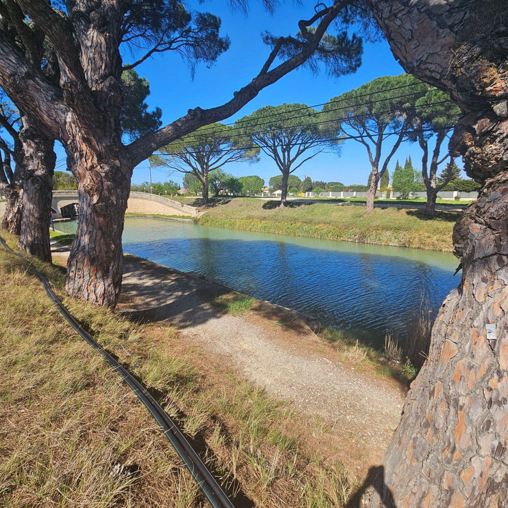 � vendre  Maison Sall�les-d'Aude (11590)