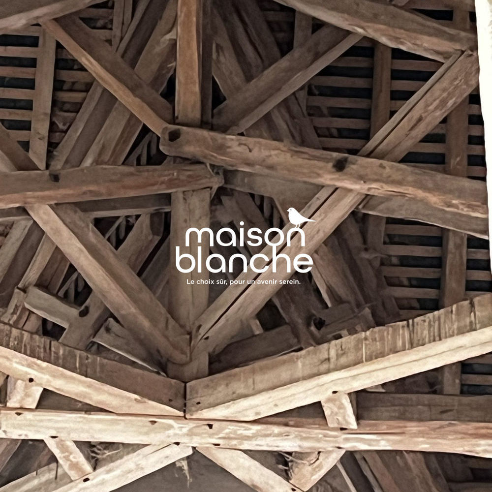 � vendre  Propri�t�/ch�teau Saumur (49400)