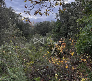  Terrain � vendre 33565 m�