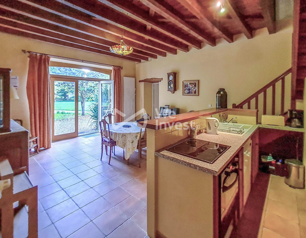 � vendre  Propri�t�/ch�teau Faye-la-Vineuse (37120)