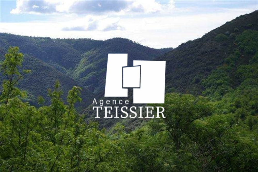 � vendre  Propri�t�/ch�teau Malarce-sur-la-Thines (07140)