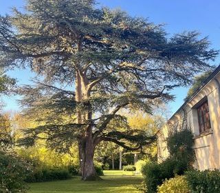  Maison � vendre 11 pi�ces 260 m�