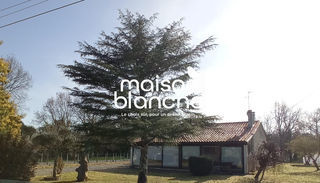  Maison � louer 4 pi�ces 73 m�