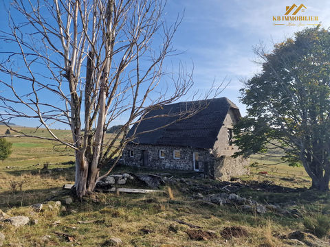   Magnifique cadre verdoyant. Maison - 4 pi�ce(s) - 300 m�