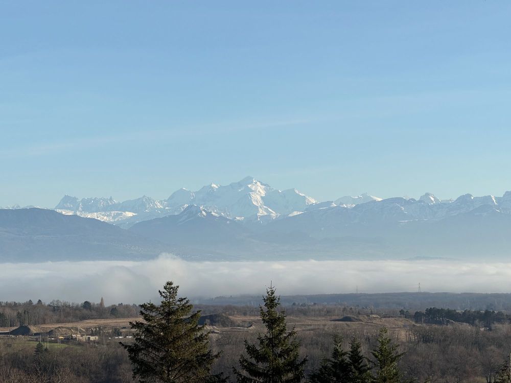 � vendre  Maison Gex (01170)