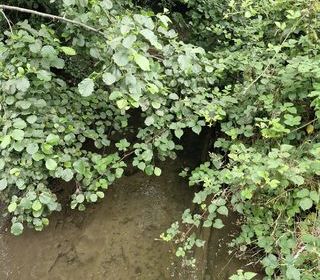  Terrain � vendre 10461 m�