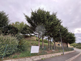  Terrain � vendre 731 m�