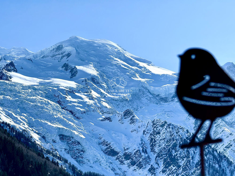 � vendre  Appartement Chamonix-Mont-Blanc (74400)