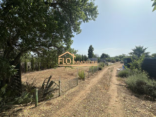  Terrain � vendre 5550 m�