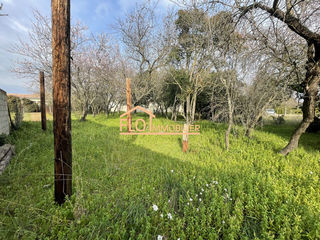  Terrain � vendre 955 m�