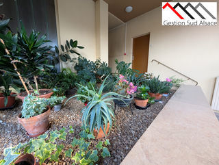  Appartement � vendre 2 pi�ces 56 m�