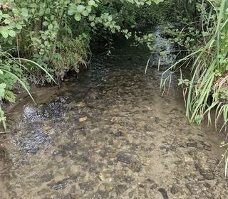  Terrain � vendre 10461 m�